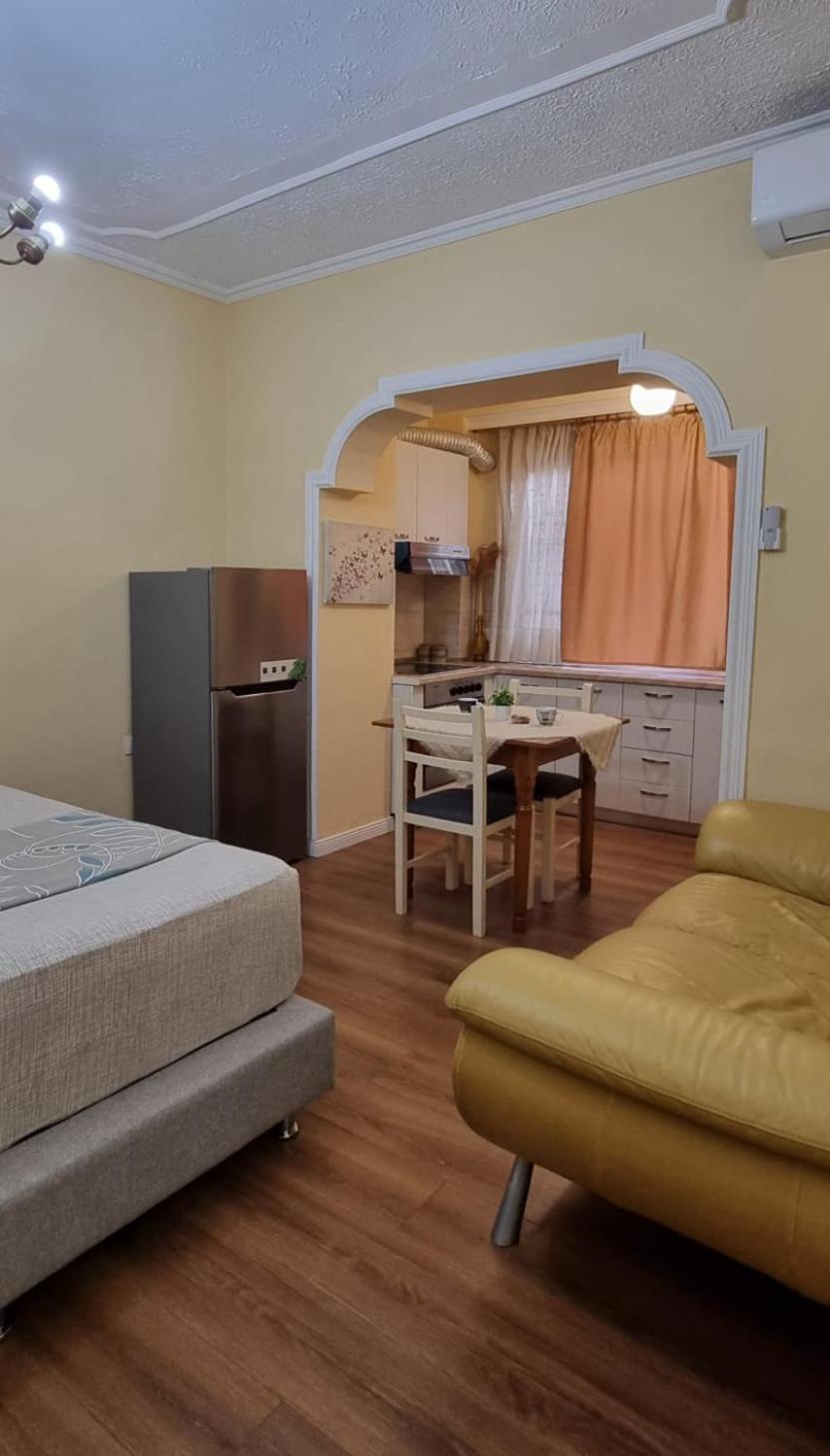 Apartment Myslym Shyri Cozy *